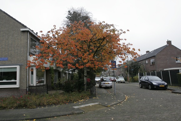 PlanWest schouw ontwerp